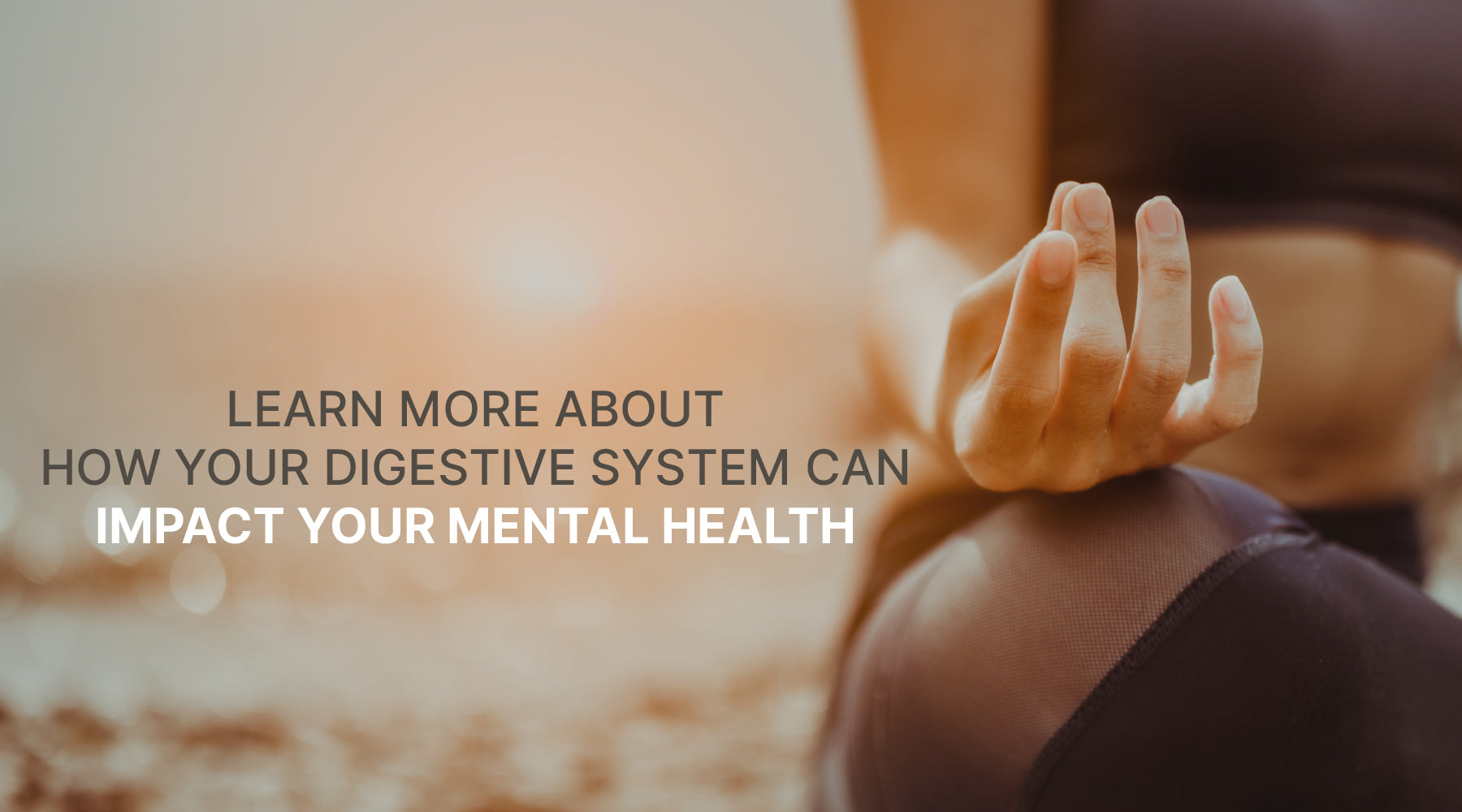 Have You Heard about the gut-brain connection? Your digestive system has a big impact on your mental health!