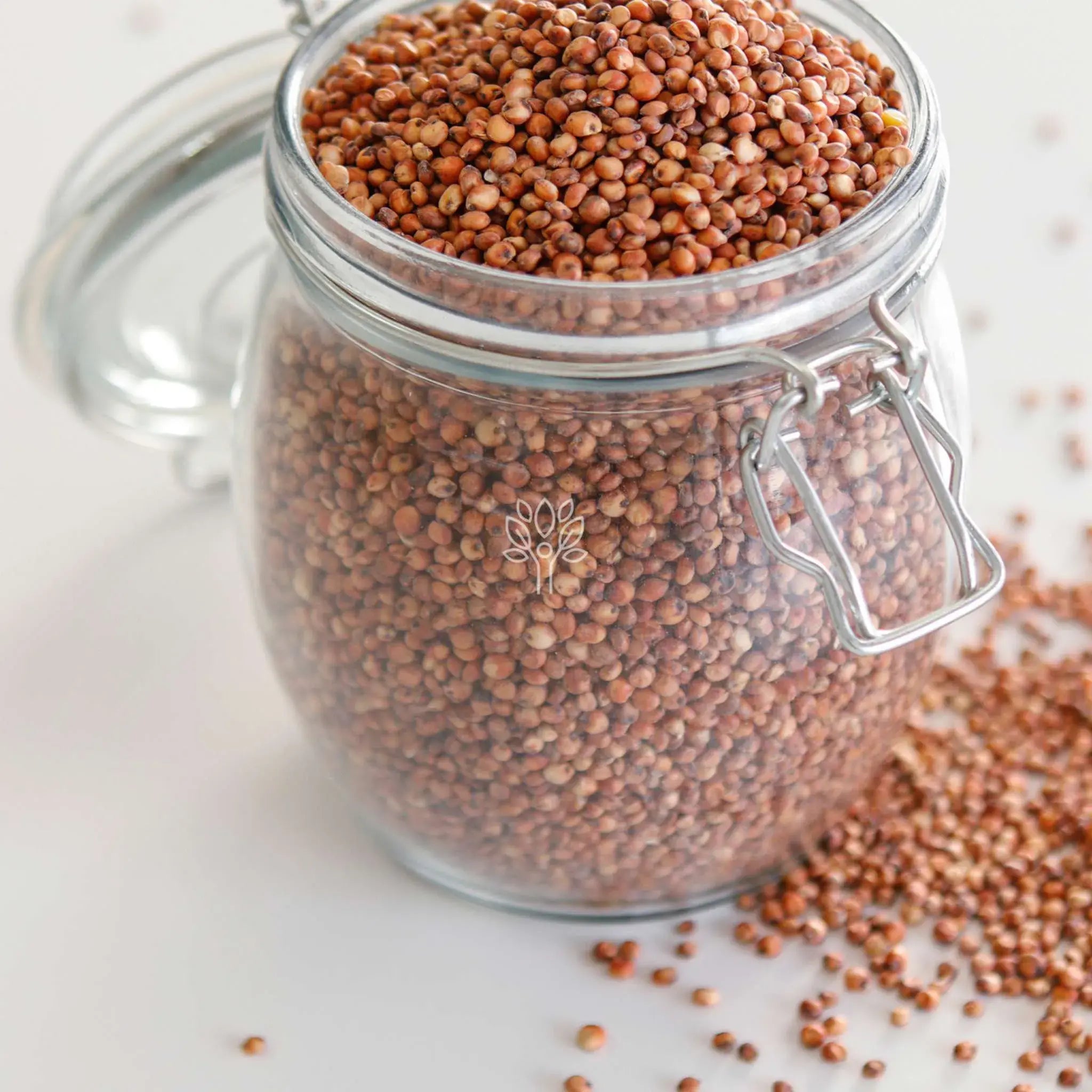 Red Sorghum