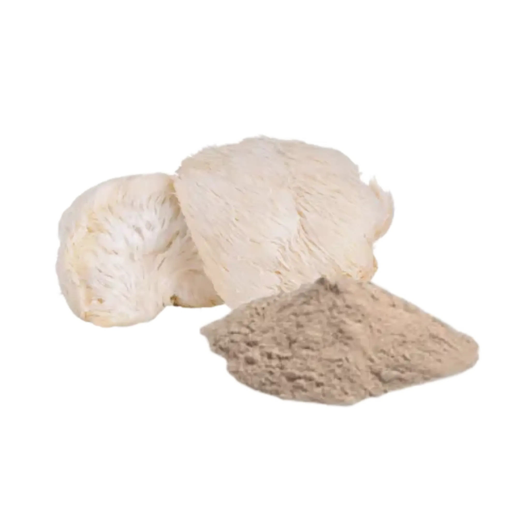 Lions Mane Mushroom Powder
