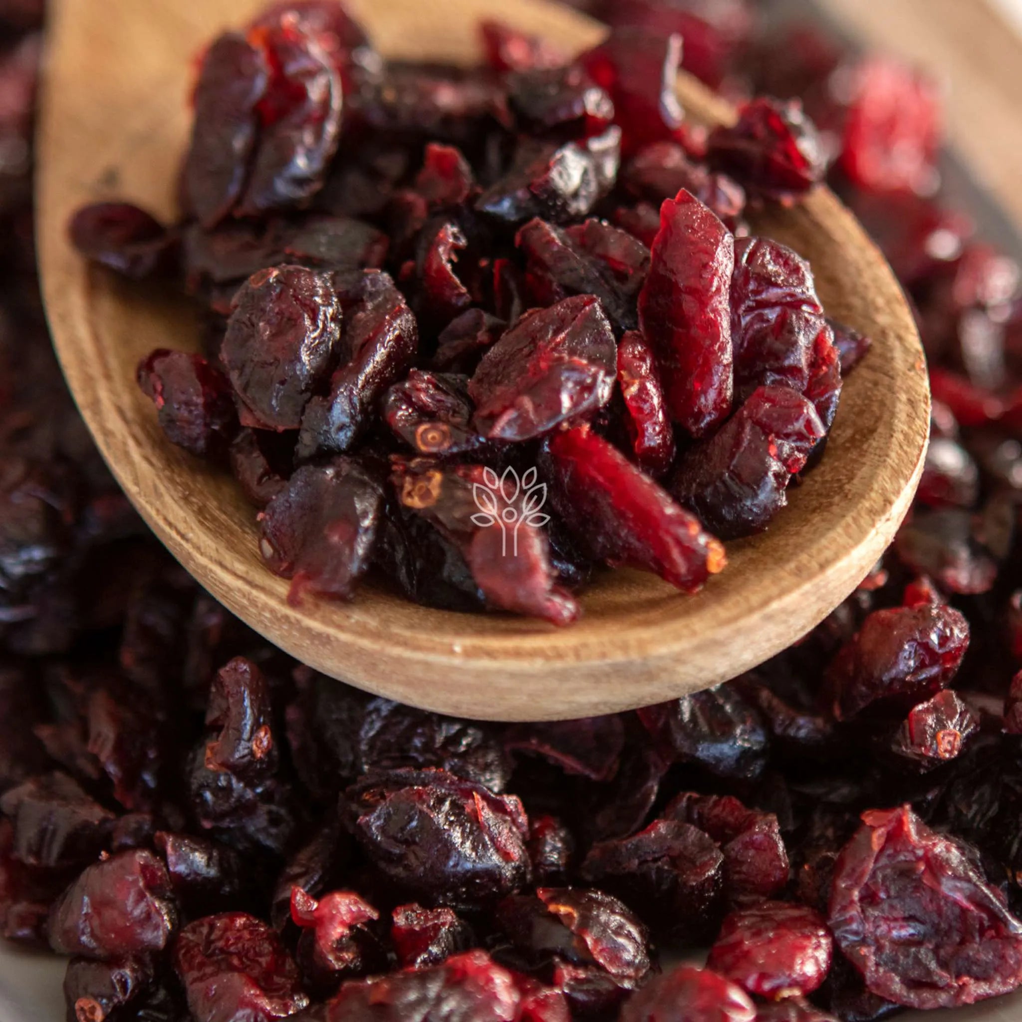 Dried Cranberries