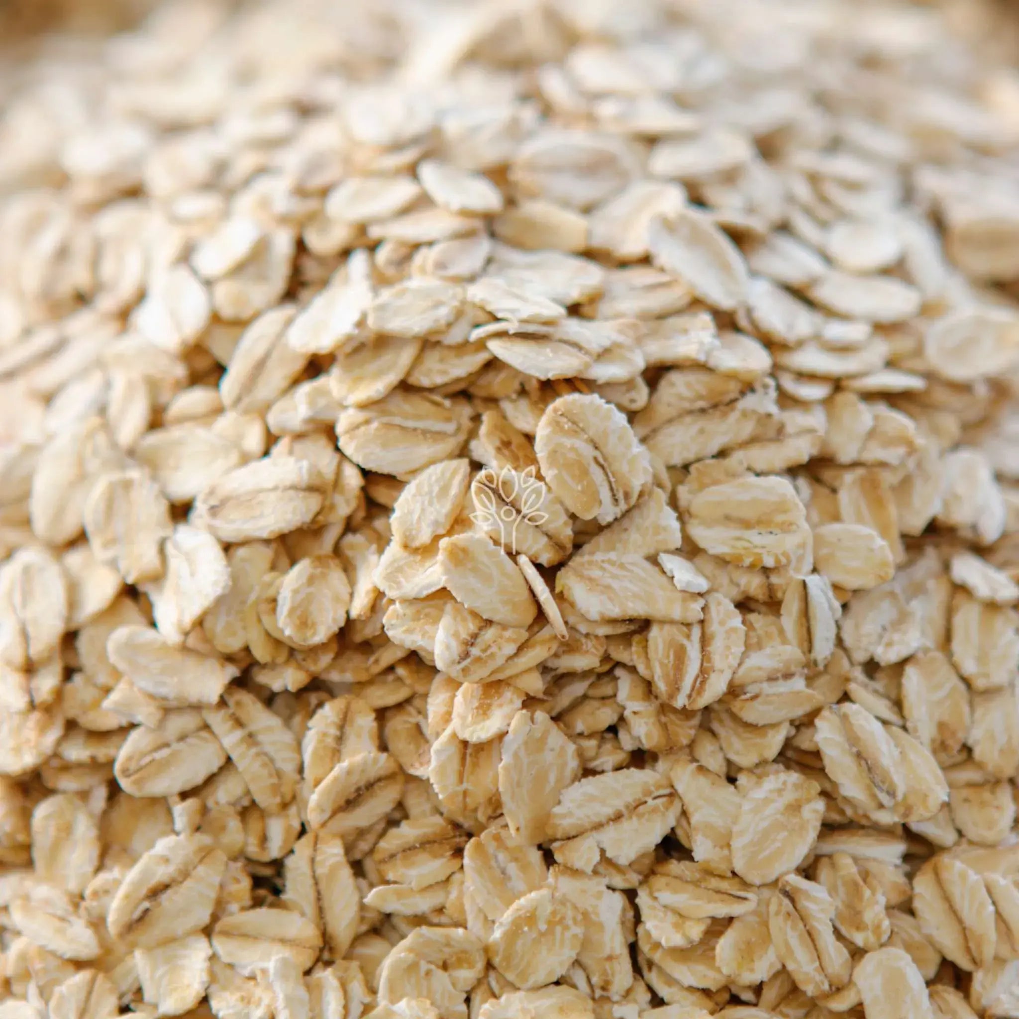 Rolled Oats