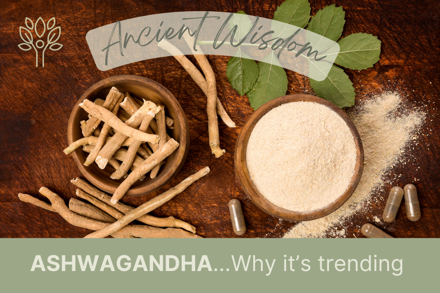 Ancient Wisdom - Ashwagandha, why it's trending