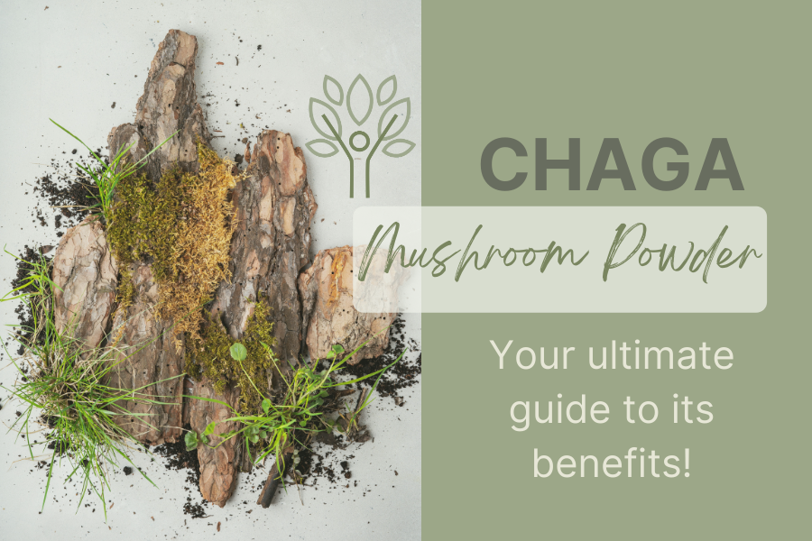 Chaga Mushroom Powder - Your Ultimate Guide to Its Health Benefits