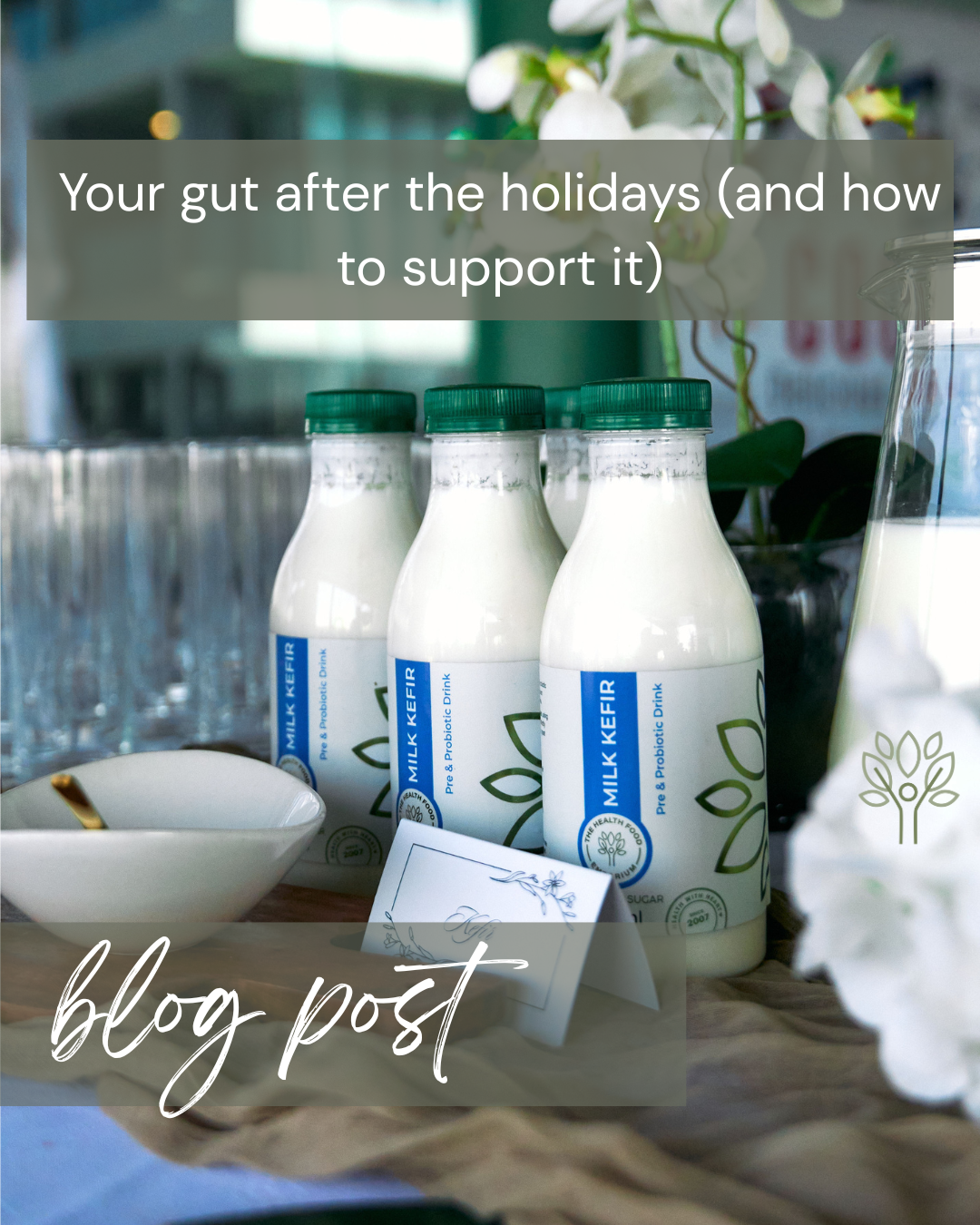 Your Gut After the Holidays (And How to Support It)