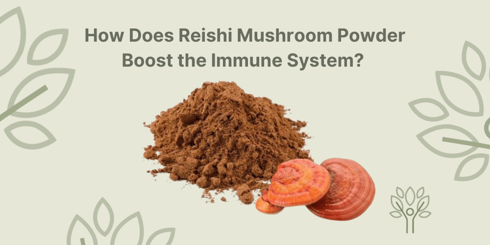Unearth the Magic of Reishi Mushroom Powder: The Health Food Emporium's Guide