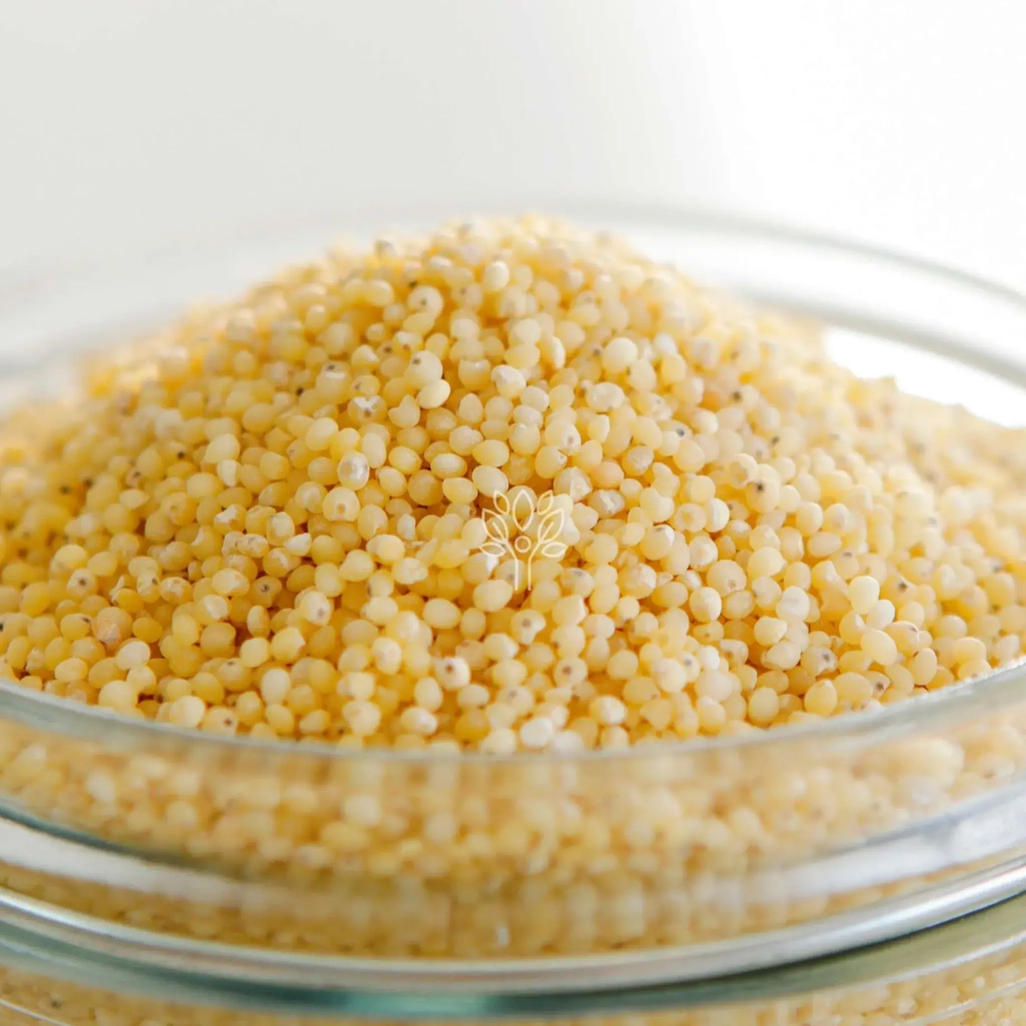 GRAINS