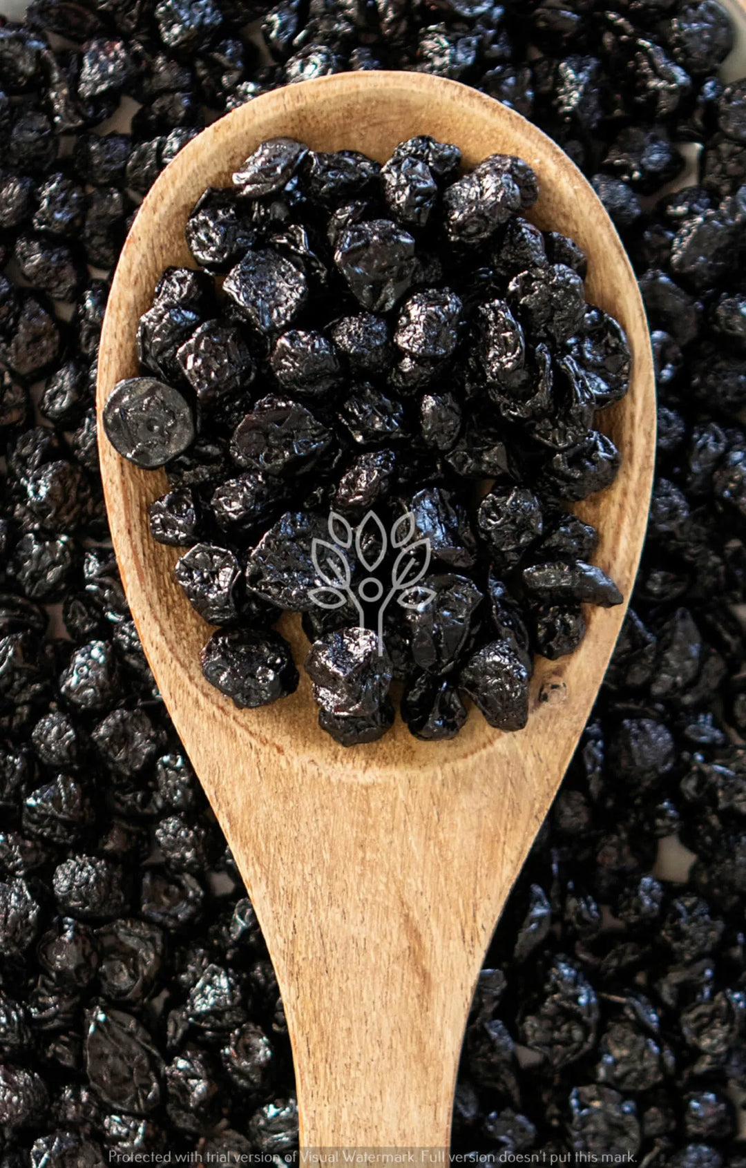 Dried Blueberries