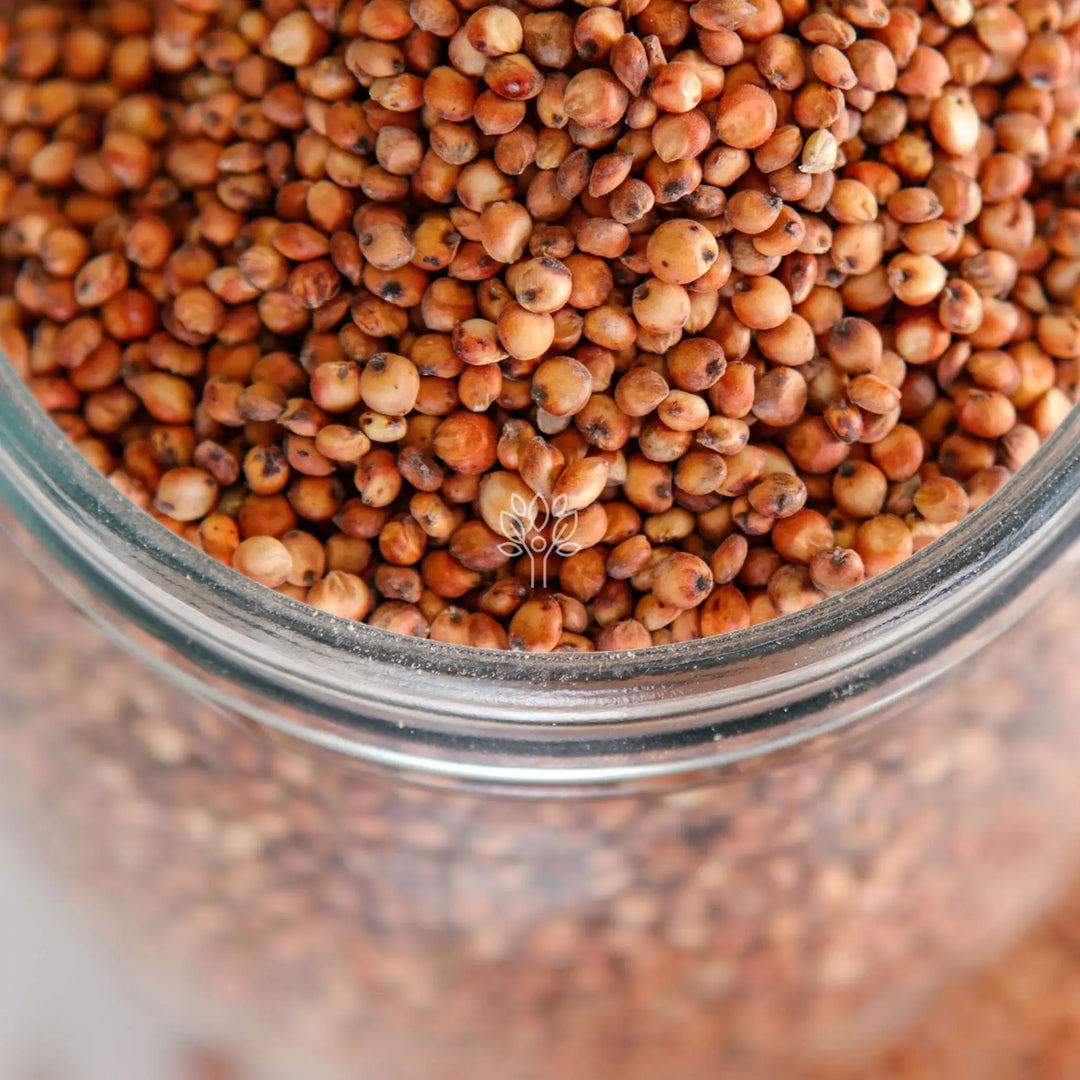 Red Milo Red Sorghum | The Health Food Emporium