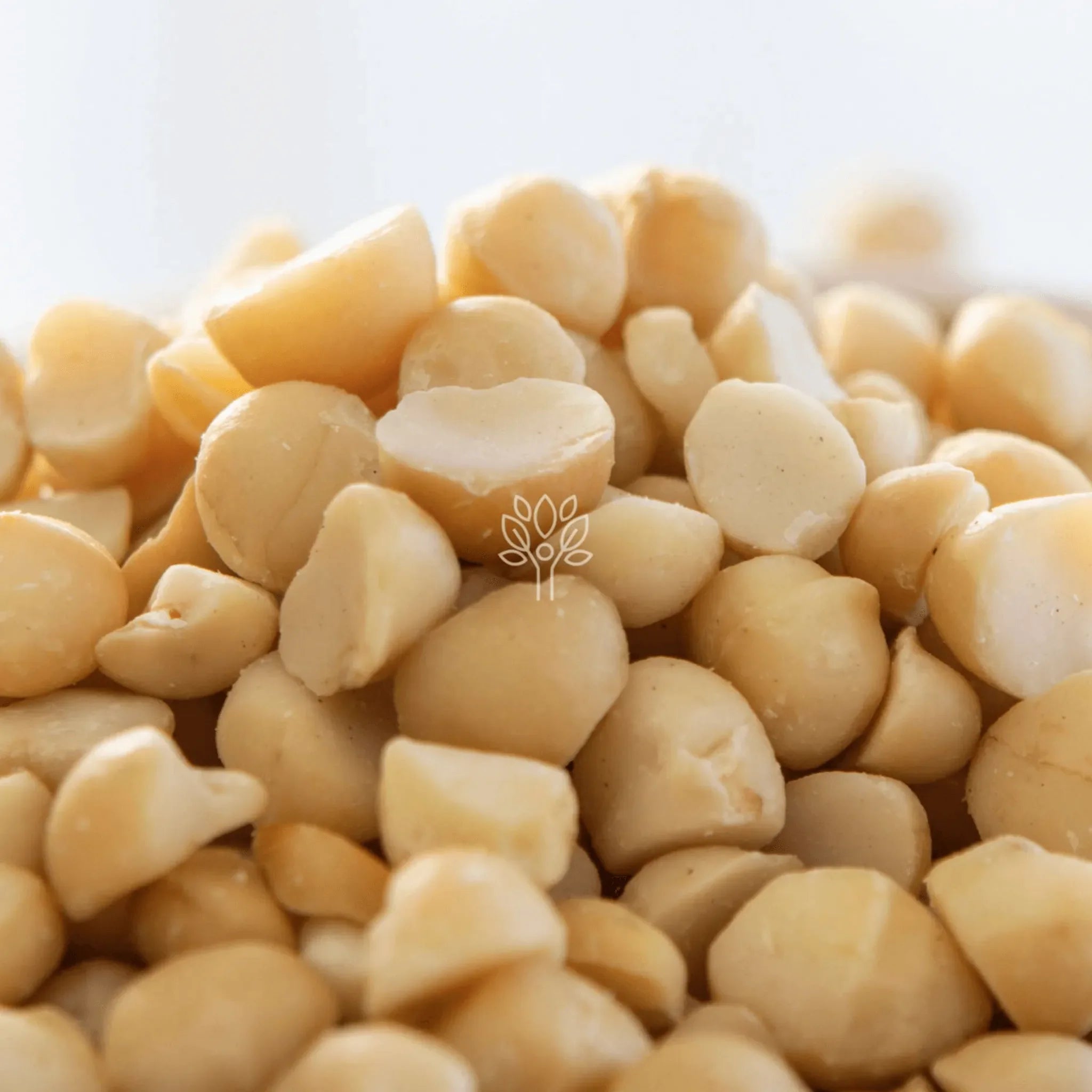 Macadamia Nuts