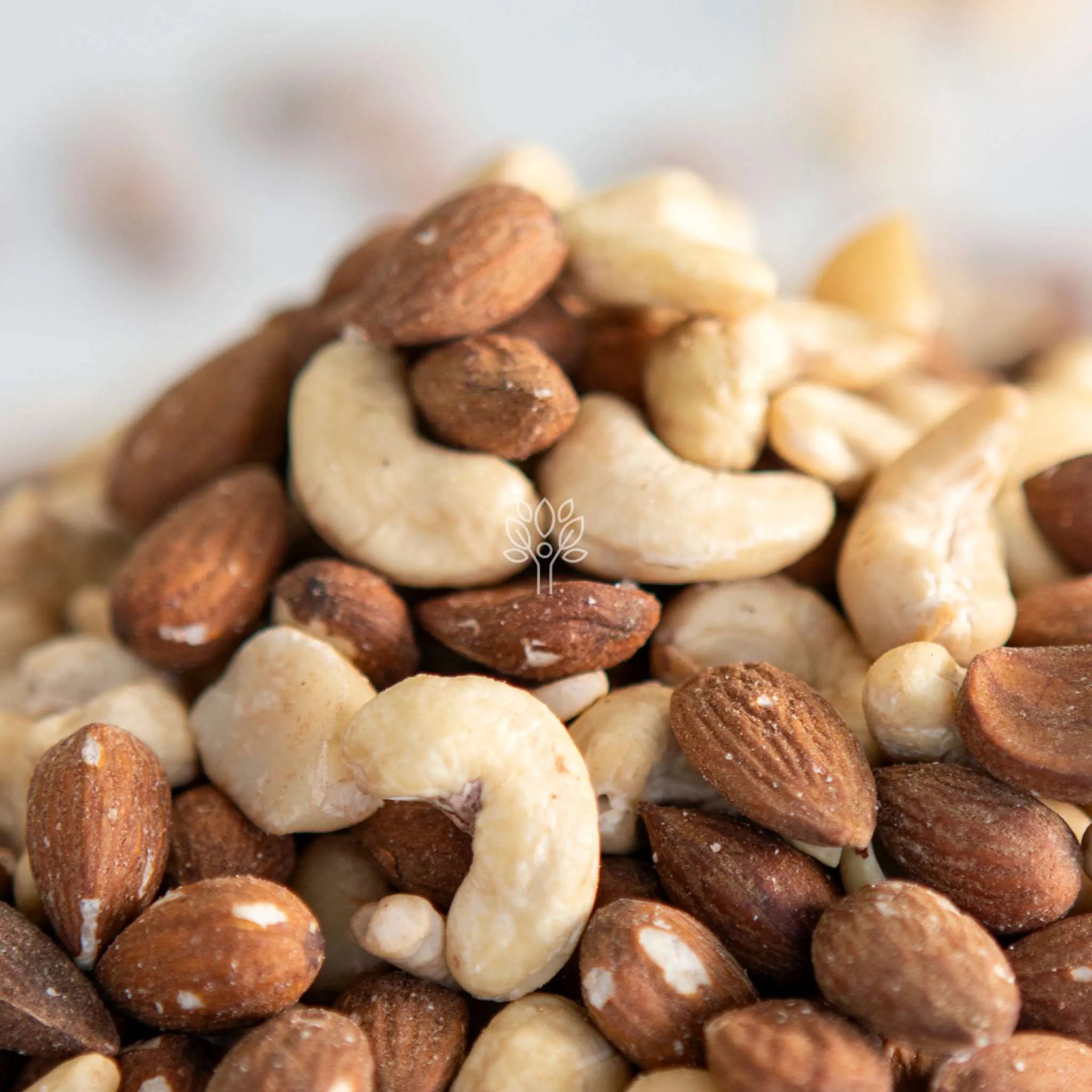 Mixed Nuts