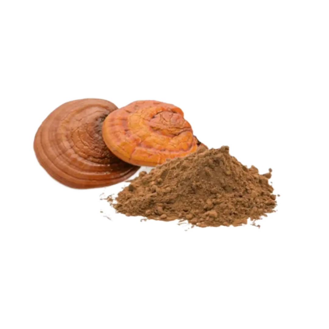 Reishi Mushroom Powder