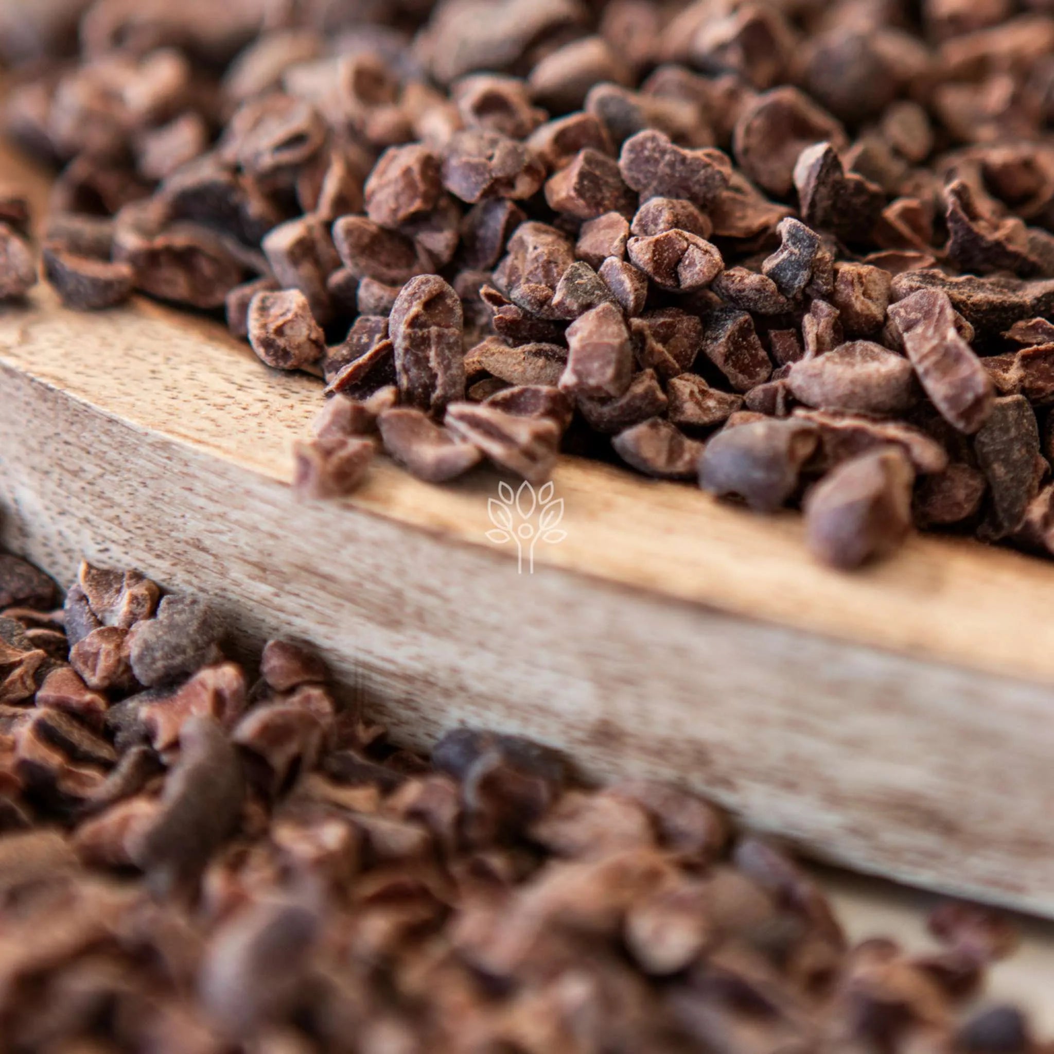 Cacao Nibs