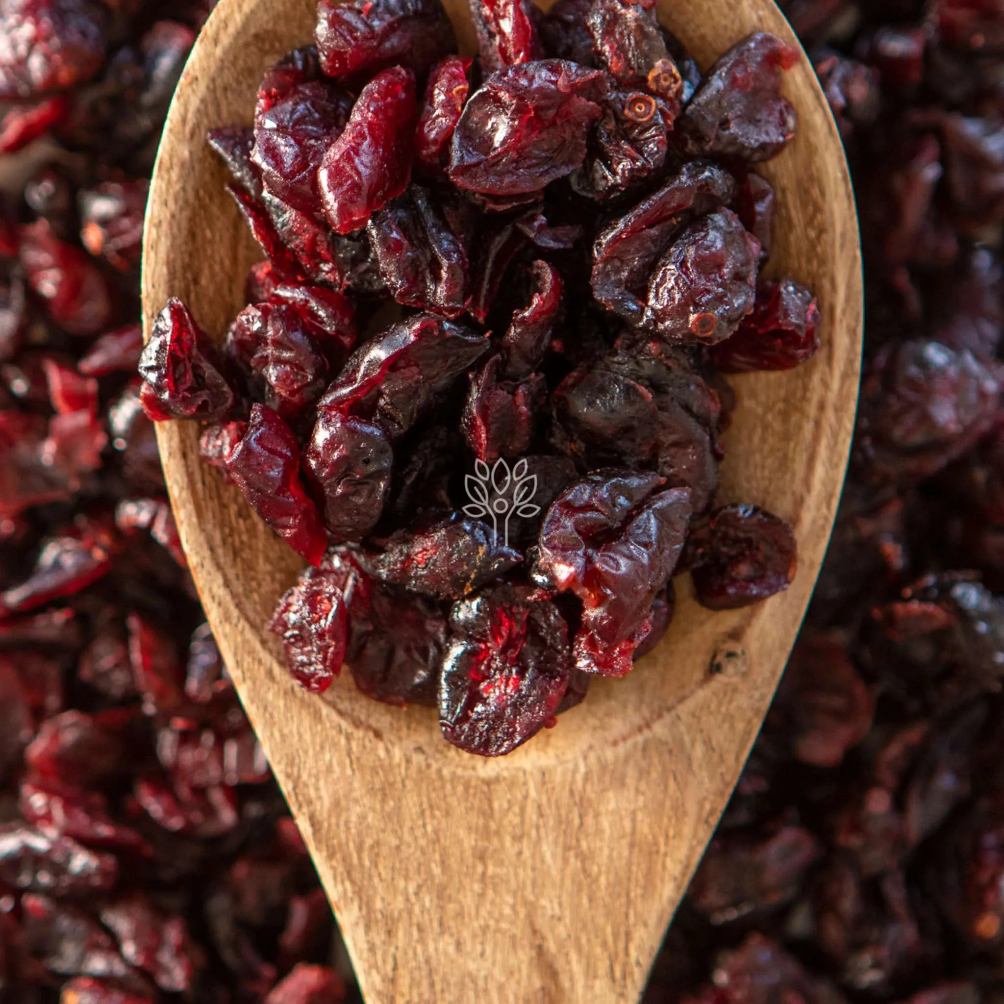 Dried Cranberries