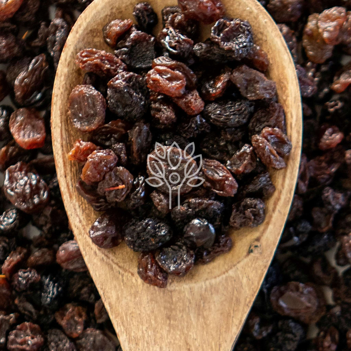 Lisa Food Raisin Raisins | The Health Food Emporium