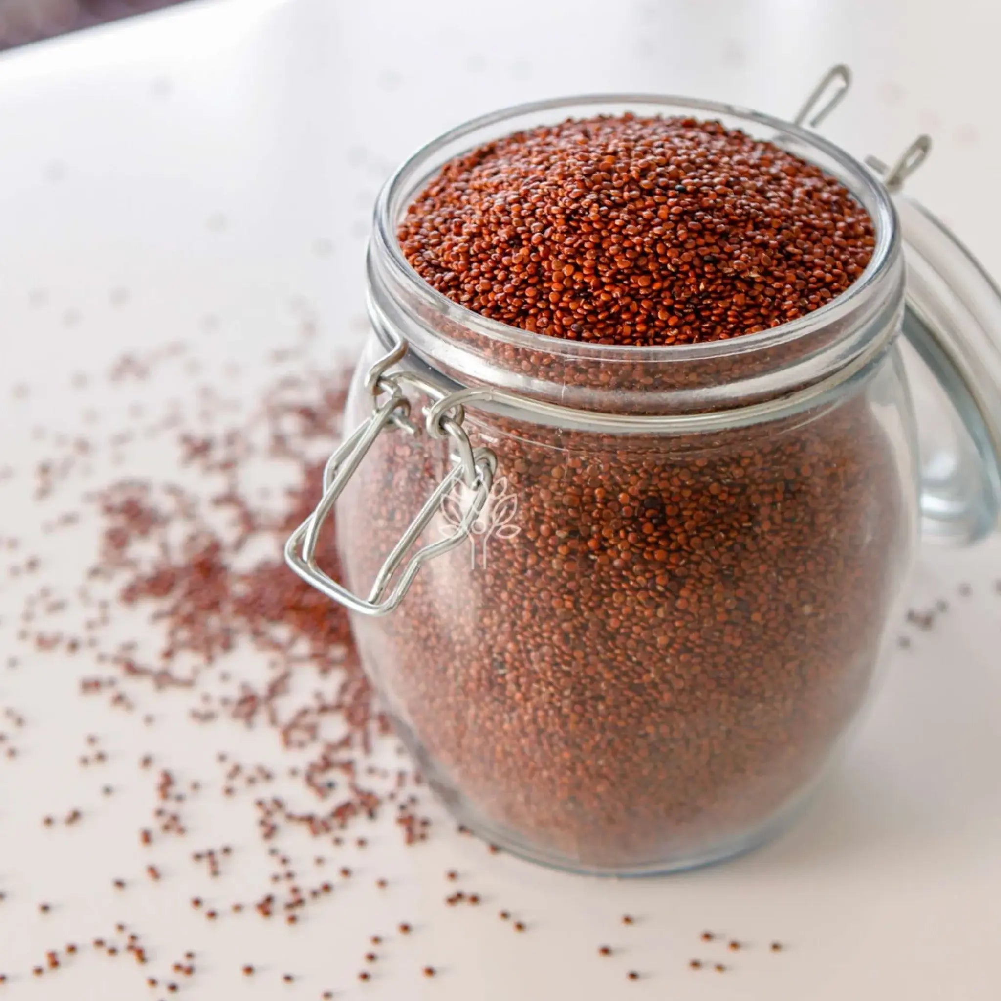 Red Quinoa