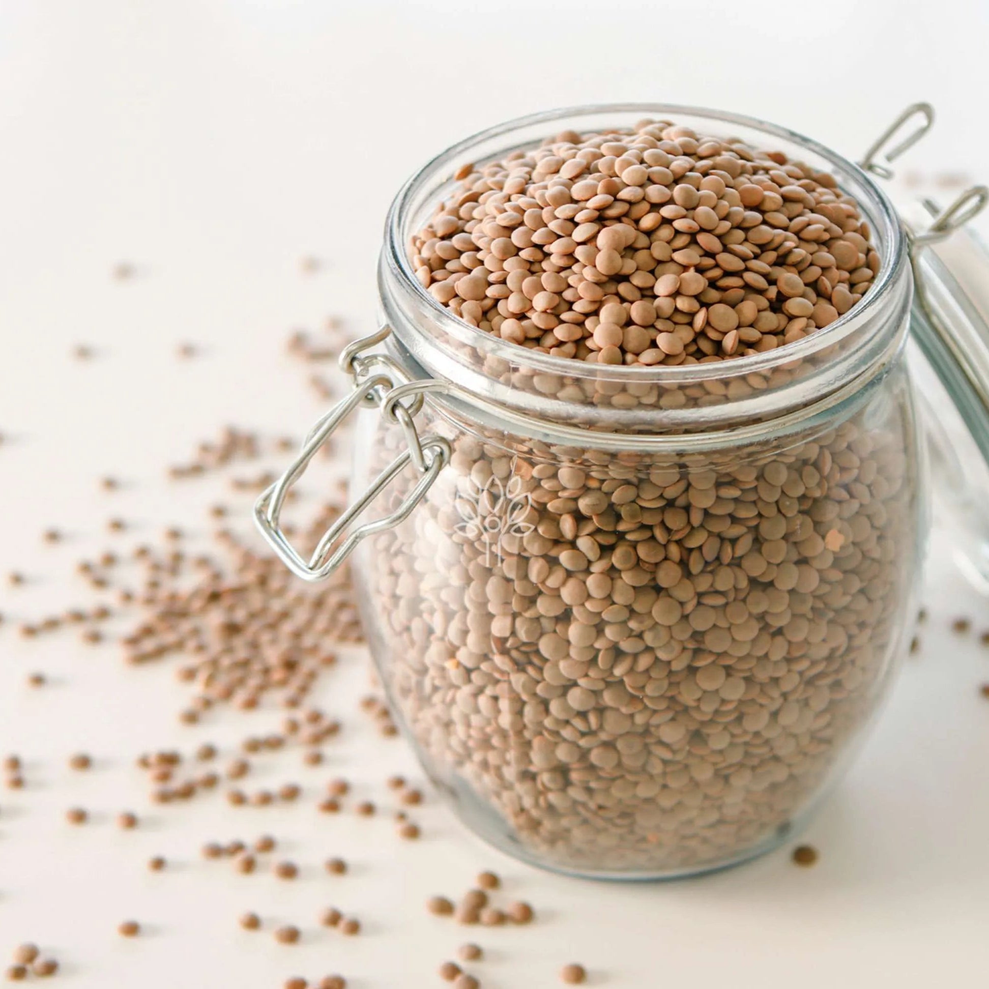 Lentils Brown