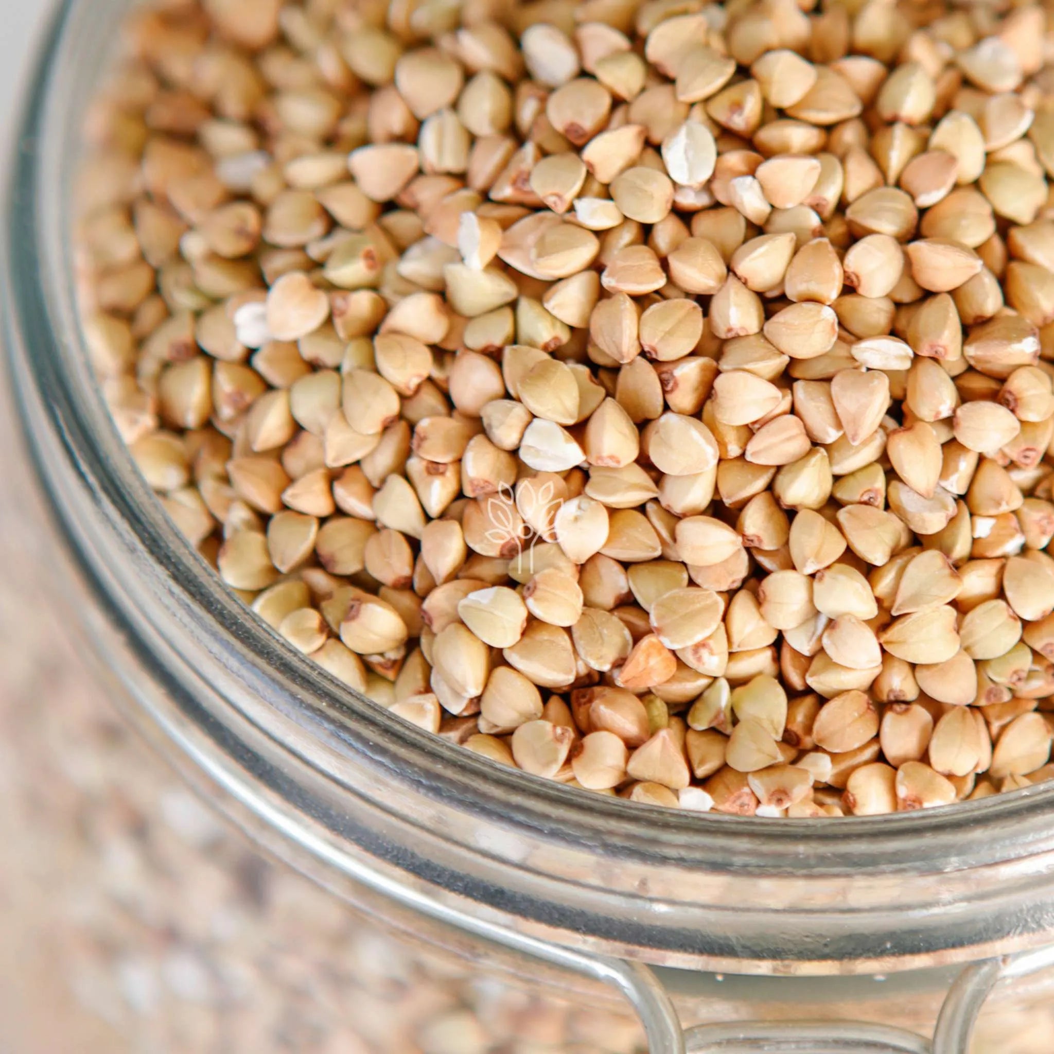 Buckwheat