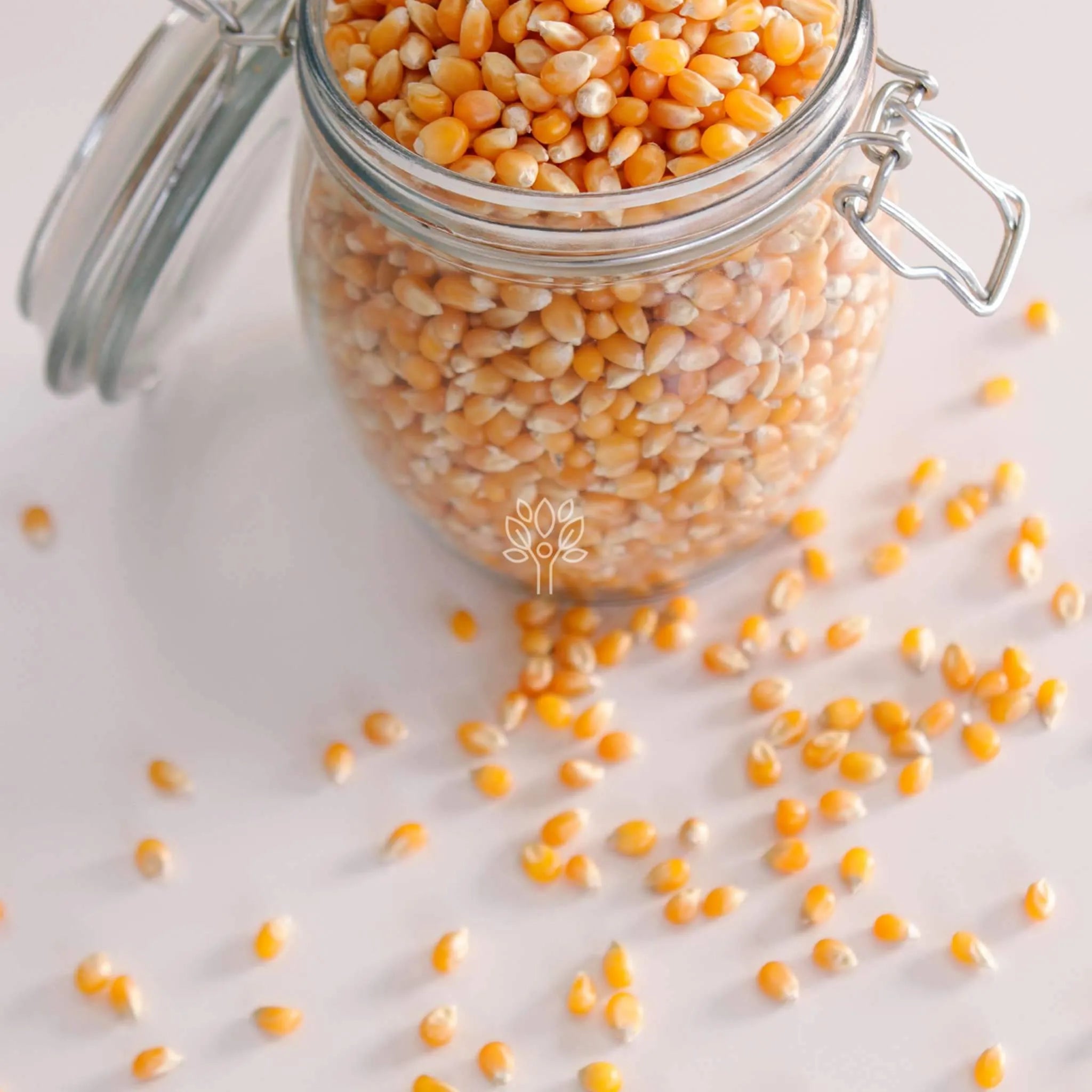 GMO Free Popcorn