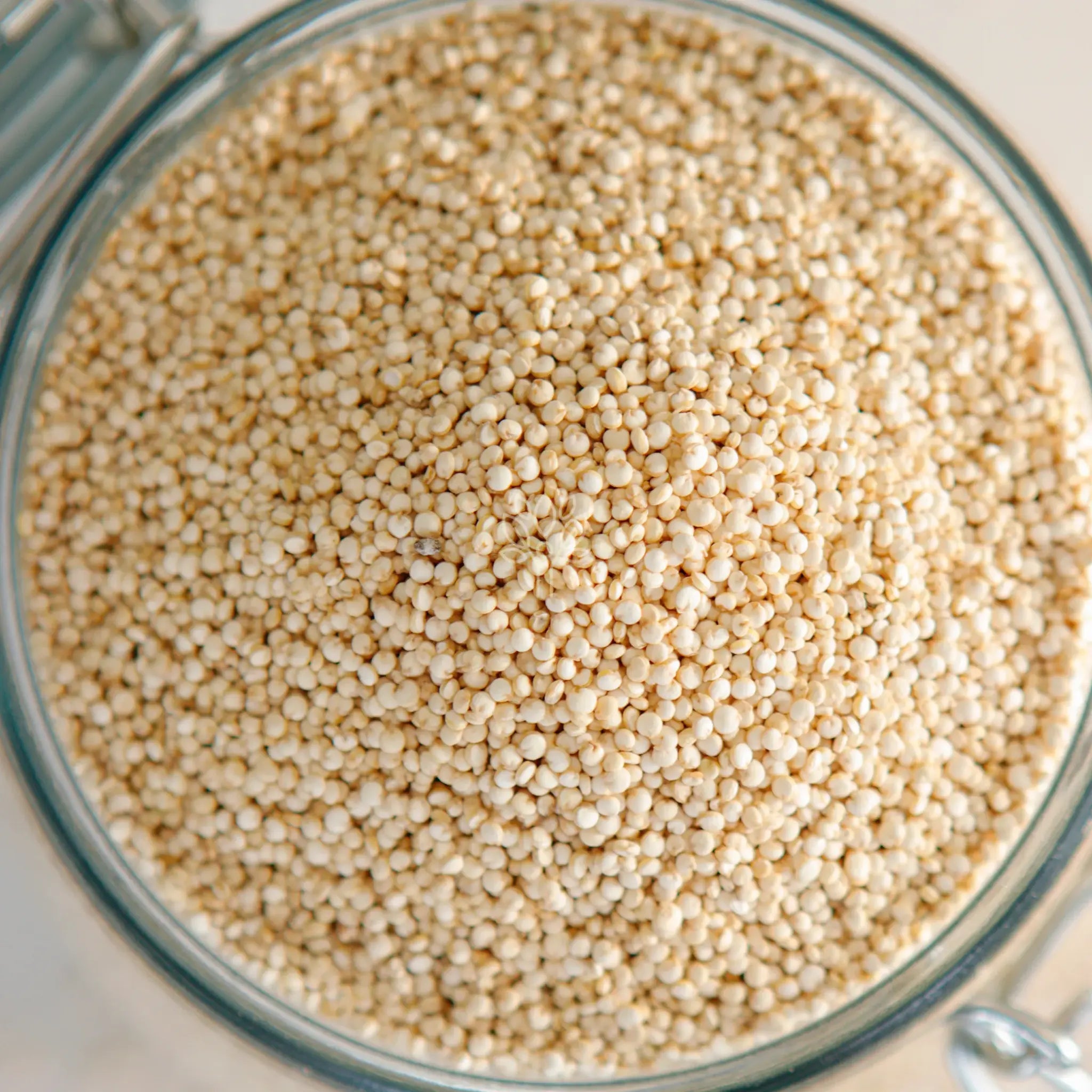 Quinoa