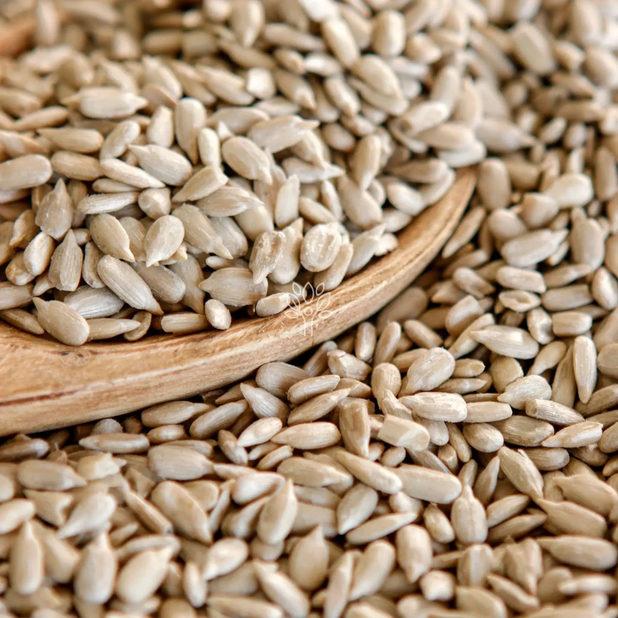 Sunflower Seeds